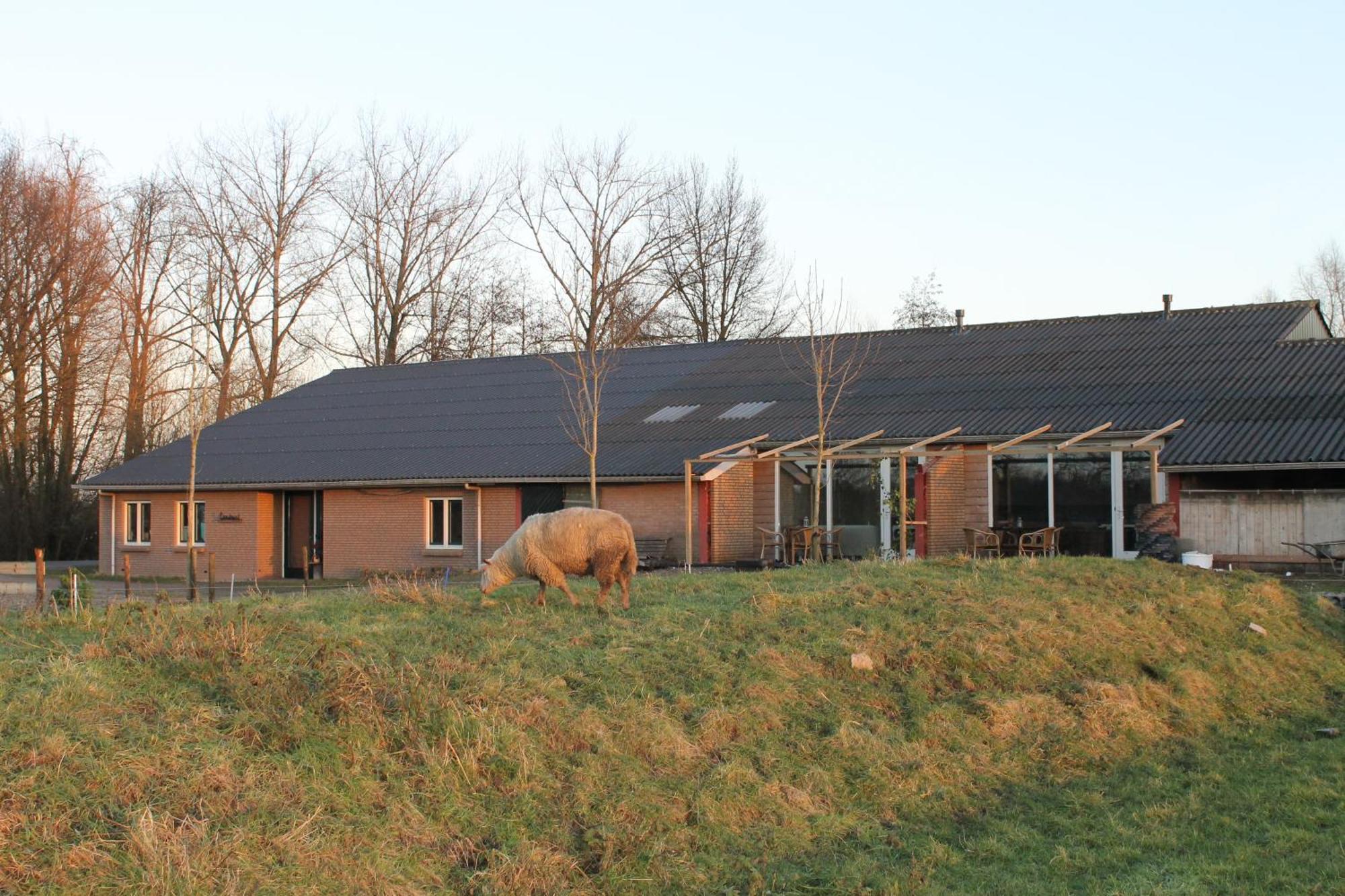 Ferienwohnung Landrust Horssen Exterior foto